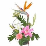 ٺʻٵ